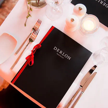 Отель Derlon